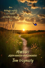Okładka - Powieści Józefa Ignacego Kraszewskiego. Tom 13 - Józef Ignacy Kraszewski