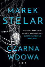 Okładka - Czarna wdowa. Heinrich Vogel. Tom 2 - Marek Stelar