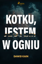 Okładka - Kotku jestem w ogniu - Dawid Kain
