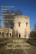 Okładka - Powieści Józefa Ignacego Kraszewskiego. Tom 23 - Józef Ignacy Kraszewski