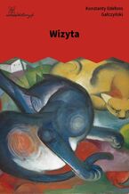 Okładka - Wizyta - Konstanty Ildefons Gałczyński