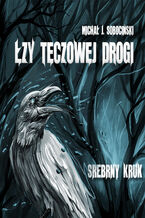 Okładka - Łzy Tęczowej Drogi - Michał J. Sobociński