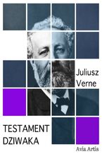 Okładka - Testament dziwaka - Juliusz Verne