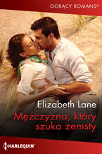 Okładka - Mężczyzna, który szuka zemsty - Elizabeth Lane
