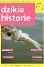 Okładka - Dzikie Historie. Magazyn historii fabularnych. Nr 1 - Srebrny Kompas