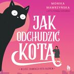Jak odchudzić kota