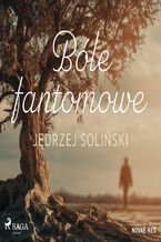 Okładka - Bóle fantomowe - Jędrzej Soliński