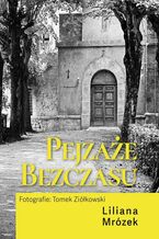 Okładka - Pejzaże Bezczasu - Liliana Mrózek