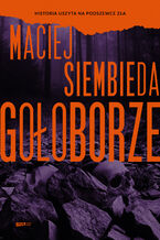 Okładka - Gołoborze - Maciej Siembieda
