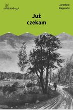 Okładka - Już czekam - Jarosław Klejnocki