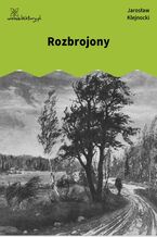 Okładka - Rozbrojony - Jarosław Klejnocki