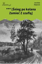 Okładka - *** [Śnieg po kolana Zamieć Z szuflą] - Jarosław Klejnocki