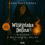 Okładka - Wiedźma z Wilżyńskiej Doliny - Anna Brzezińska
