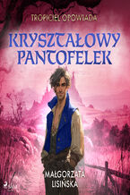 Okładka - Tropiciel opowiada: Kryształowy pantofelek - Małgorzata Lisińska