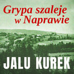 Okładka - Grypa szaleje w Naprawie - Jalu Kurek