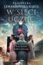 Okładka - W sieci uczuć - Agnieszka Lewandowska-Kąkol