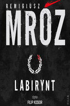 Okładka - Labirynt - Remigiusz Mróz