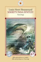 Okładka - Sekrety pana Syntezy. Część 2 - Louis-Henri Boussenard