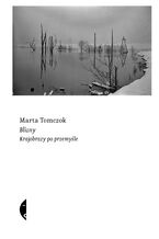 Okładka - Blizny. Krajobrazy po przemyśle - Marta Tomczok