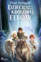 Okładka - Dzieci królowej elfów 3  Ścigani bez końca (#3) - Peter Gotthardt