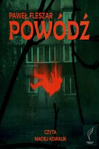 Okładka - Powódź - Paweł Fleszar