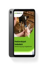 Okładka - Poród w dużych hodowlach - dowiedz się, jak go zorganizować - Joanna Cała