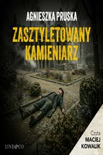 Okładka - Zasztyletowany kamieniarz. Tajemnice Gdańskiej Willi. Tom 1 - Agnieszka Pruska