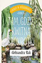 Okładka - Zacisze w Wierzbówce. Tom 2. Tam, gdzie kwitną stokrotki - Aleksandra Rak