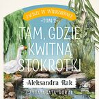 Zacisze w Wierzbówce. Tom 2. Tam, gdzie kwitną stokrotki