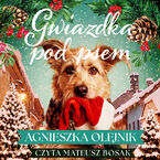 Gwiazdka pod psem