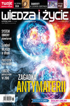 Okładka - Wiedza i Życie. Numer 11/2026 - Opracowanie zbiorowe