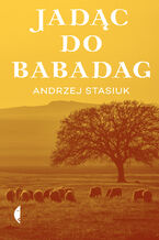 Okładka - Jadąc do Babadag - Andrzej Stasiuk