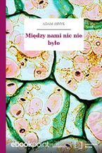Okładka - Między nami nic nie było - Adam Asnyk