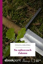 Na zgliszczach Zakonu