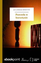 Okładka - Pszczoła w bursztynie - Jan Andrzej Morsztyn