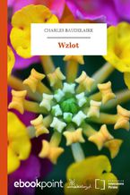 Okładka - Wzlot - Charles Baudelaire