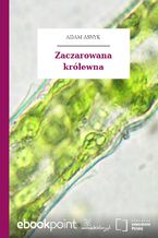 Okładka - Zaczarowana królewna - Adam Asnyk