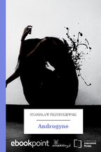 Okładka - Androgyne - Stanisław Przybyszewski
