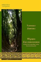 Okładka - Wyspa zaczarowana. Celtyckie podania i mity dawnej Irlandii - Tadeusz Zubiński