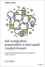 Okładka - Jak wynagradzać pracowników w start-upach i małych firmach. Wskazówki dla przedsiębiorców zarządzających małym zespołem - Piotr Sedlak