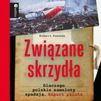 Związane skrzydła. Dlaczego polskie samoloty spadają. Raport pilota
