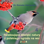 Relaksujące dźwięki natury z polskiego ogrodu na wsi