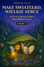 Okładka - Świetlik Feluś. Małe światełko, wielkie serce. Feluś i deszczowa niespodzianka. Część 5 - Lena Świetlińska