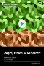 Okładka - Zagraj z nami w Minecraft. Kurs video. Pierwsze kroki - Bartosz Danowski, Jakub Danowski
