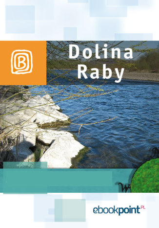 Dolina Raby. Miniprzewodnik Praca zbiorowa - okladka książki