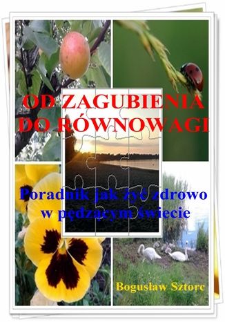 Od zagubienia do równowagi. Jak żyć zdrowo w pędzącym świecie Bogusław Sztorc - okladka książki