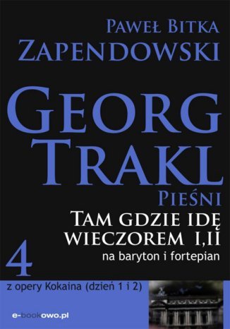 Tam gdzie idę wieczorem Paweł Zapendowski - okladka książki
