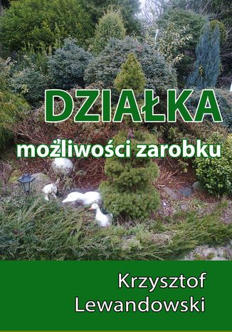 Działka. Możliwości zarobku Krzysztof Lewandowski - okladka książki