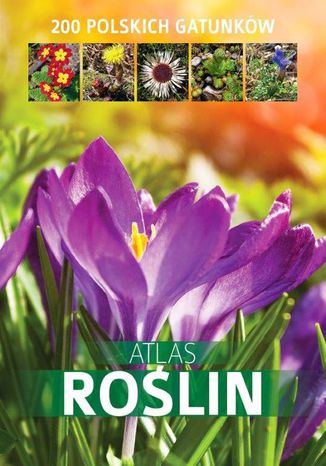 Atlas roślin. 200 polskich gatunków Aleksandra Halarewicz - okladka książki