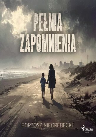 Pełnia zapomnienia Bartosz Niegrebecki - okladka książki